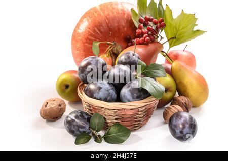 Pflaume im Korb, Kürbis und andere Früchte auf weißem Hintergrund mit weichem Schatten Stockfoto