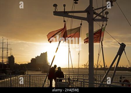 Elbe Philharmonic Hall am Morgen, Hamburg, Deutschland Stockfoto