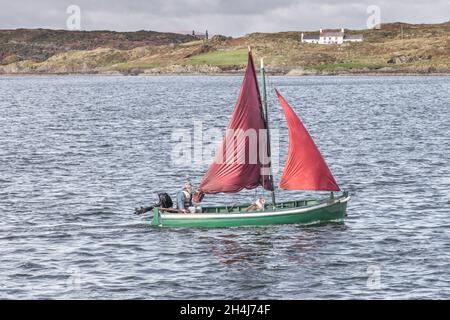 Baltimore, Cork, Irland. November 2021. Ein Mann mit seinem Hund macht bei Wintersonne eine Reise durch den Hafen in Baltimore, Co. Cork, Irland. - Bild; David Creedon / Alamy Live News Stockfoto