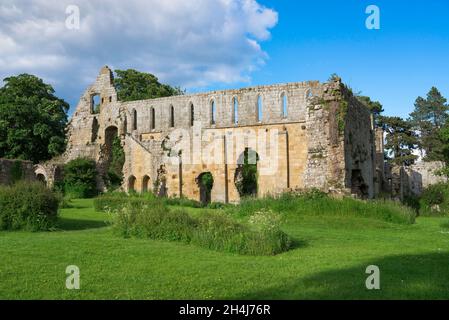 Jervaulx Abbey Yorkshire, Blick im Sommer auf die stimmungsvollen Ruinen der Jervaulx Abbey, einem Zisterzienserkloster aus dem 12th. Jahrhundert, Yorkshire, Großbritannien Stockfoto