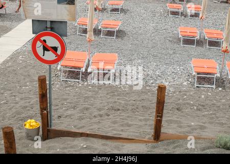 Keine Hunde am Strand über orangefarbene Sonnenliegen. Sommerurlaub mit Haustieren. Tierverbot Stockfoto