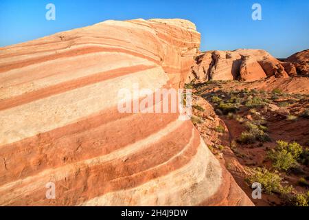 Wellenfelsen im Valley of Fire State Park, Nevada, USA. Horizontale Komposition mit blauem Himmel Hintergrund. Stockfoto