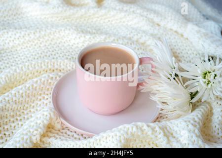 Rosa Tasse Kaffee oder Kakao mit weißen Chrysanthemenblumen auf kuscheliger Strickdecke. Nahaufnahme. Stockfoto