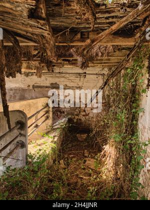 Altes, verderbtes Bauernhaus Stockfoto