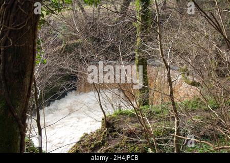 Stream and Waterfall, Lochwinnoch, Renfrewshire, Schottland, Großbritannien. Viel Regen an diesem bitterlichen Tag hat dazu geführt, dass dieser Strom anschwellen und viel mehr Wasser da ist Stockfoto