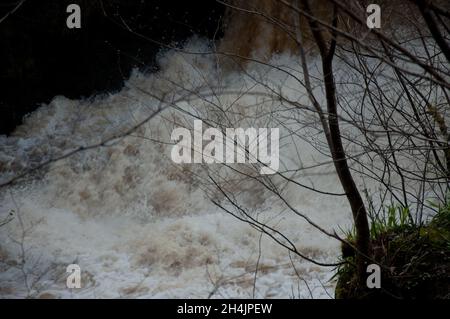 Turbulenter Strom unter einem Wasserfall, Lochwinnoch, Renfrewshire, Schottland, Großbritannien Stockfoto