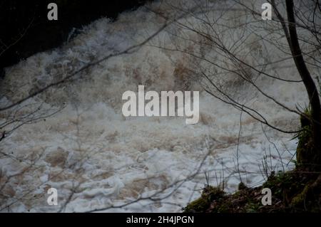 Turbulenter Strom unter einem Wasserfall, Lochwinnoch, Renfrewshire, Schottland, Großbritannien Stockfoto