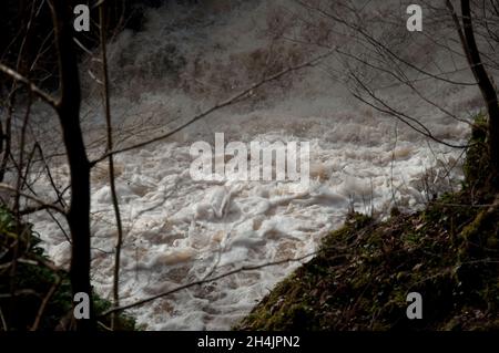 Turbulenter Strom unter einem Wasserfall, Lochwinnoch, Renfrewshire, Schottland, Großbritannien Stockfoto