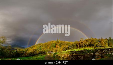 Ein doppelter Regenbogen über einem Wald in Snowdonia an einem goldbeleuchteten Herbstmorgen Stockfoto