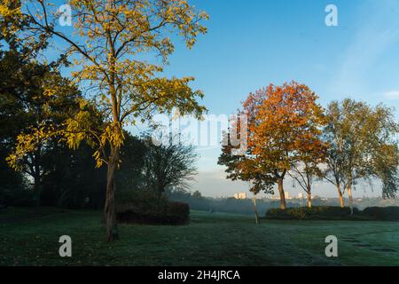 London, Großbritannien. November 2021. Wetter in Großbritannien. Ein herbstlicher Brent Valley Golfplatz in London. Fototermin: Mittwoch, 3. November 2021. Bildnachweis sollte lauten: Foto: Richard Gray/Alamy Stockfoto