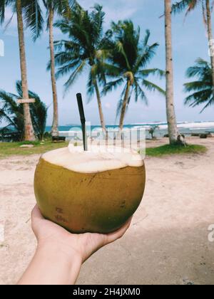 Person, die eine frische Kokosnuss am Strand hält, Philippinen Stockfoto
