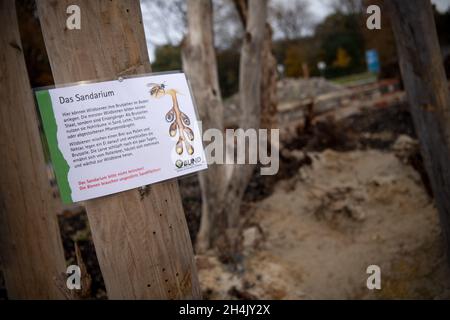 Bremen, Deutschland. November 2021. Ein Schild informiert über den Insektenschau-Garten am Weser-Wehr. Bund Bremen hat gemeinsam mit anderen Naturverbänden einen 800 Quadratmeter großen Insektenschaugarten geschaffen. Mehr als 1000 Wildpflanzen und ebenso viele Blumenzwiebeln wurden gepflanzt. Die Pflanzen werden im nächsten Frühjahr Futter für Insekten liefern. Quelle: Sina Schuldt/dpa/Alamy Live News Stockfoto