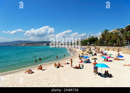 Frankreich, Alpes-Maritimes, Cannes, Strand von La Croisette, lange Promenade mit Palmen und Pinien gesäumt Stockfoto