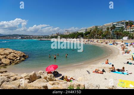 Frankreich, Alpes-Maritimes, Cannes, Strand von La Croisette, lange Promenade mit Palmen und Pinien gesäumt Stockfoto