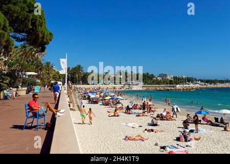 Frankreich, Alpes-Maritimes, Cannes, Strand von La Croisette, lange Promenade mit Palmen und Pinien gesäumt Stockfoto