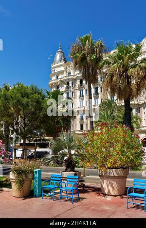 Frankreich, Alpes-Maritimes, Cannes, La Croisette, lange Promenade mit Palmen und Pinien, Majestic Hotel, Barriere Group Stockfoto