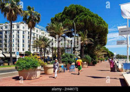 Frankreich, Alpes-Maritimes, Cannes, La Croisette, lange Promenade mit Palmen und Pinien, Majestic Hotel, Barriere Group Stockfoto
