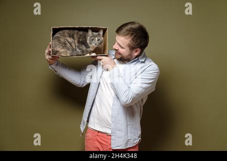 Der Mensch spielt mit seiner entzückenden Katze, die in einen Karton geklettert ist und verwirrt aussieht. Konzept der Spiele mit Haustieren. Stockfoto