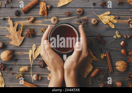 Herbst flach liegen. Hände mit einer warmen Tasse Tee auf dem Hintergrund von Herbstblättern, Beeren, Nüssen, Anis, Eicheln, Tannenzapfen auf rustikalem dunklem Holz. Hallo aut Stockfoto