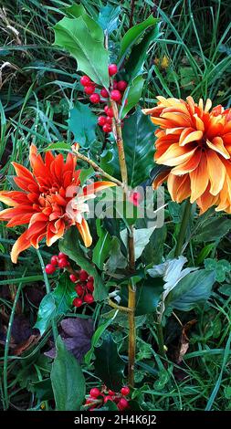 Große Blumen, die wie ein frisch entsorgter Strauß am Ufer des Flusses Calder in Padiham aussahen. Später erkannte ich, dass sie aus Stoff waren Stockfoto