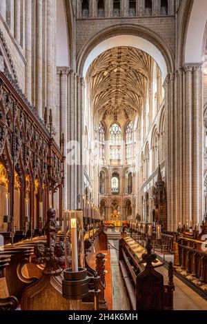 Das Presbyterium der Kathedrale von Norwich vom Chor aus gesehen, Norfolk UK Stockfoto