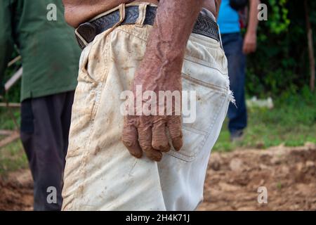 Hände eines 92-jährigen Mannes, der sich der Arbeit auf den Feldern verschrieben hat Stockfoto