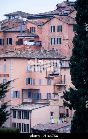 Mittelalterliche Stadthäuser und Tonziegeldächer in Siena, Italien. Stockfoto