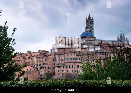 Der Duomo von Siena und das umgebende mittelalterliche Siena, Italien. Stockfoto