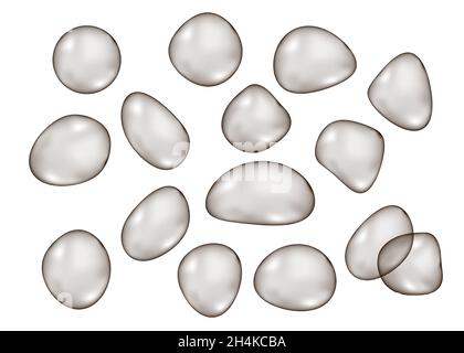 Unregelmäßige Form transparent schwarz glänzend Blasen auf weißem Hintergrund isoliert. Dunkelgraue Kugel. Vektor-Drop-Textur. Stock Vektor