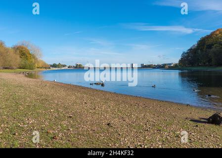 Edgbaston Reservoir in Birmingham an einem sonnigen Herbsttag Stockfoto