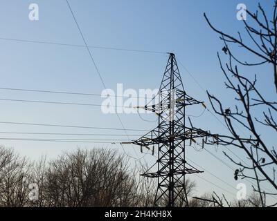 Ein Sendeturm, der in einem Wald steht. Hintergrund des klaren blauen Himmels. Stockfoto