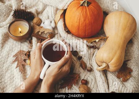 Hände mit einer warmen Tasse Tee auf einem stylischen Strickpullover mit Kürbissen, Herbstblättern und brennender Kerze. Gemütliches Herbstliches langsames Leben. Frohe Thanksgiving Er Stockfoto