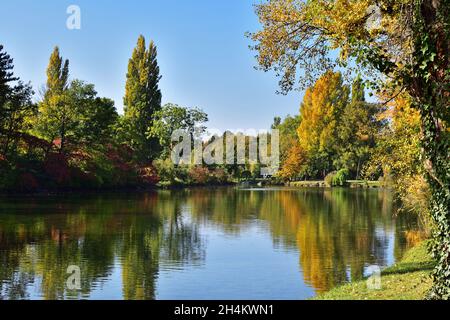 Wasserpark Floridsdorf in Wien, Österreich an einem sonnigen Herbsttag Stockfoto