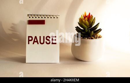 Kaktus auf weißem Hintergrund mit der Aufschrift Pause auf einem Notizbuch Stockfoto