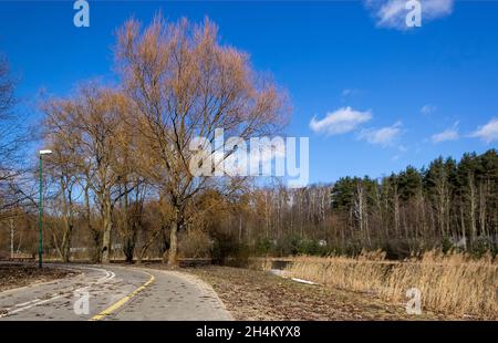 Frühe Frühlingsstraße im Park an einem sonnigen Tag Stockfoto