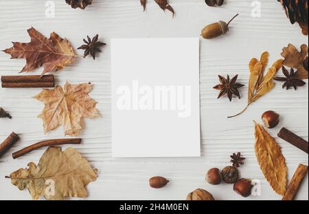 Unbeschriftete Karte und Herbstblätter, Nüsse, Anis, Eicheln, Zimt auf weißem Holz, flaches Lay. Saisons Grußkarte im Nachbau. Frohe Thanksgiving und Halloween Stockfoto
