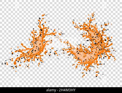 Orange, Karotte, Aprikose, Kürbissaft spritzen und Tropfen isoliert auf transparentem Hintergrund. Realistische Vektorstruktur. Stock Vektor
