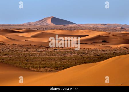 Saudi Arabien Wüste Foto von Tariq ALmutlaq Stockfoto