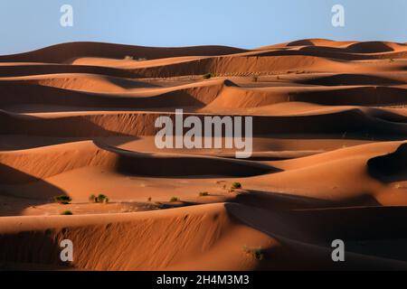 Saudi Arabien Wüste Foto von Tariq ALmutlaq Stockfoto