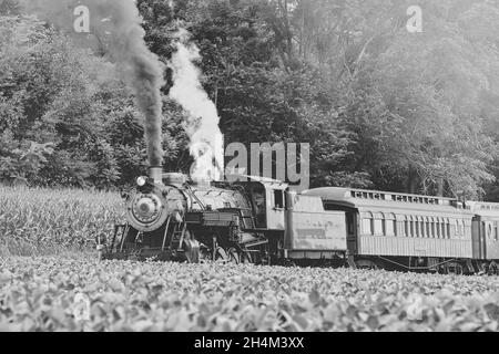 Ein Schwarz-Weiß-Blick auf einen antiken restaurierten Dampfzug, der an einem sonnigen Sommertag Rauch und Dampf bläst Stockfoto