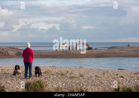 Pagham, Großbritannien. November 2021. Die lokale Frau sieht zu, wie schwere Maschinen auf Pagham Schindelspieß graben, wodurch ein Kanal entsteht, der vermutlich die Stranderosion bei Pagham reduzieren wird, was in der Nähe liegende Grundstücke bedroht. Quelle: Joe Kuis / Alamy Reportage Stockfoto