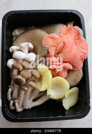 Essbare Wildpilze in einem Punnet Stockfoto