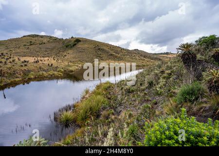 Wanderung zum Paramo de Guacheneque, dem Geburtsort des Flusses Bogota. Die Lagune von Guacheneque. In Villapinzón, Cundinamarca, Kolumbien. Stockfoto