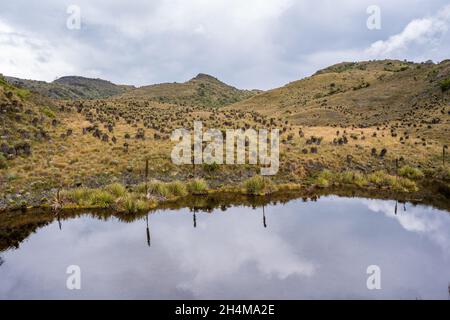 Wanderung zum Paramo de Guacheneque, dem Geburtsort des Flusses Bogota. Die Lagune von Guacheneque. In Villapinzón, Cundinamarca, Kolumbien. Stockfoto