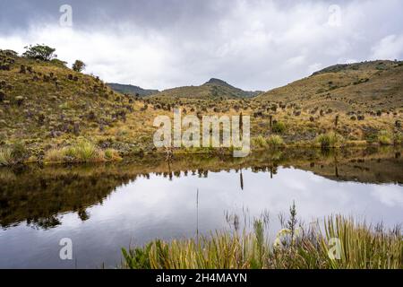 Wanderung zum Paramo de Guacheneque, dem Geburtsort des Flusses Bogota. Die Lagune von Guacheneque. In Villapinzón, Cundinamarca, Kolumbien. Stockfoto