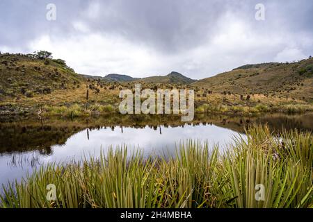 Wanderung zum Paramo de Guacheneque, dem Geburtsort des Flusses Bogota. Die Lagune von Guacheneque. In Villapinzón, Cundinamarca, Kolumbien. Stockfoto