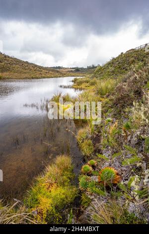 Wanderung zum Paramo de Guacheneque, dem Geburtsort des Flusses Bogota. Die Lagune von Guacheneque. In Villapinzón, Cundinamarca, Kolumbien. Stockfoto