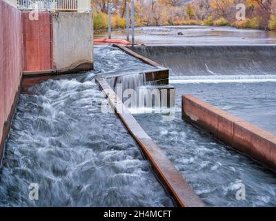 Fischleiter am Wasserabzweigedamm - Watson Lake Dam am Poudre River im Norden Colorados oberhalb von Fort Collins, Herbstlandschaft Stockfoto