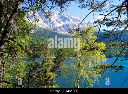 Malerischer türkisfarbener Eibsee am Fuße der Zugspitze in Bayern (Deutschland) Stockfoto