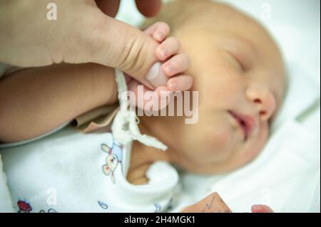 Ein neugeborenes Kind am ersten Tag seiner Geburt in der Entbindungsklinik hält den Finger seines Vaters. Stockfoto